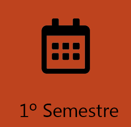 1º Semestre-v.png