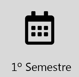1º Semestre.png