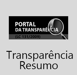 Esta aba apresenta algumas das principais informações relacionadas ao portal, aqui o modo de pesquisa é facilitado além de permitir baixar as informações em diversas extenções...