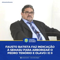 Fausto Batista faz Indicação à SEMASU para arborizar o Pedro Tenório e Olavo I e II